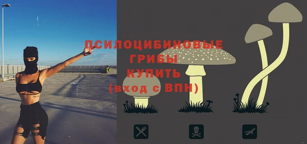 винт Алзамай