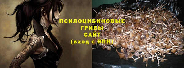 винт Алзамай