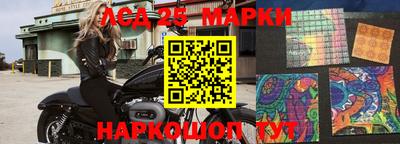 шишки Гагарин