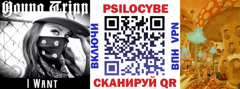 Галлюциногенные грибы прущие грибы что такое Боровичи