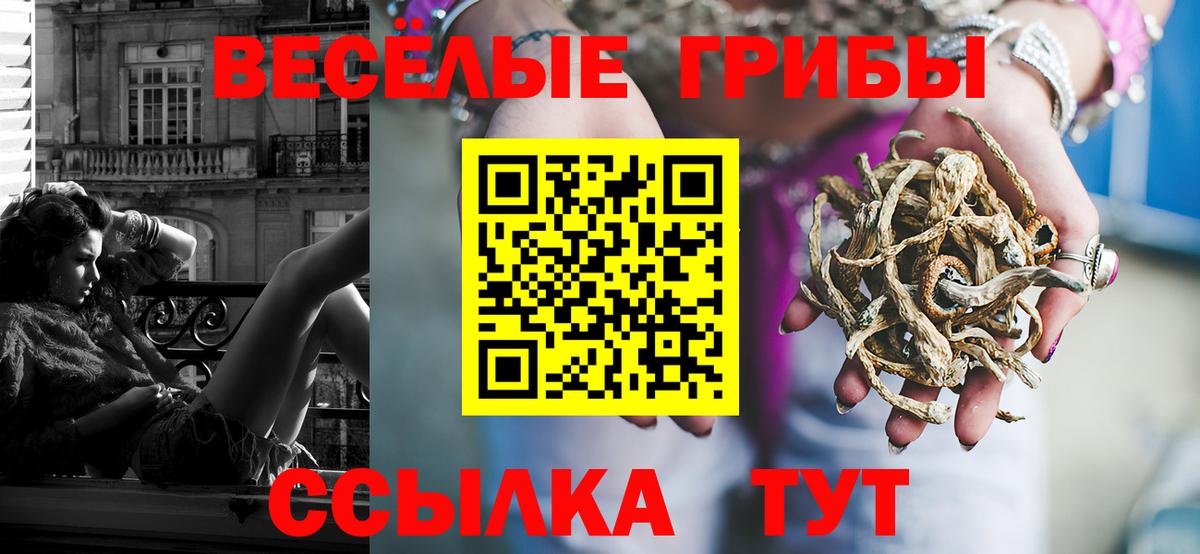 Галлюциногенные грибы прущие грибы Боровичи
